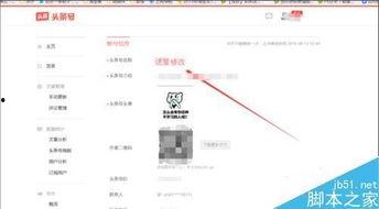 头条号被改怎么办,如何应对新挑战？